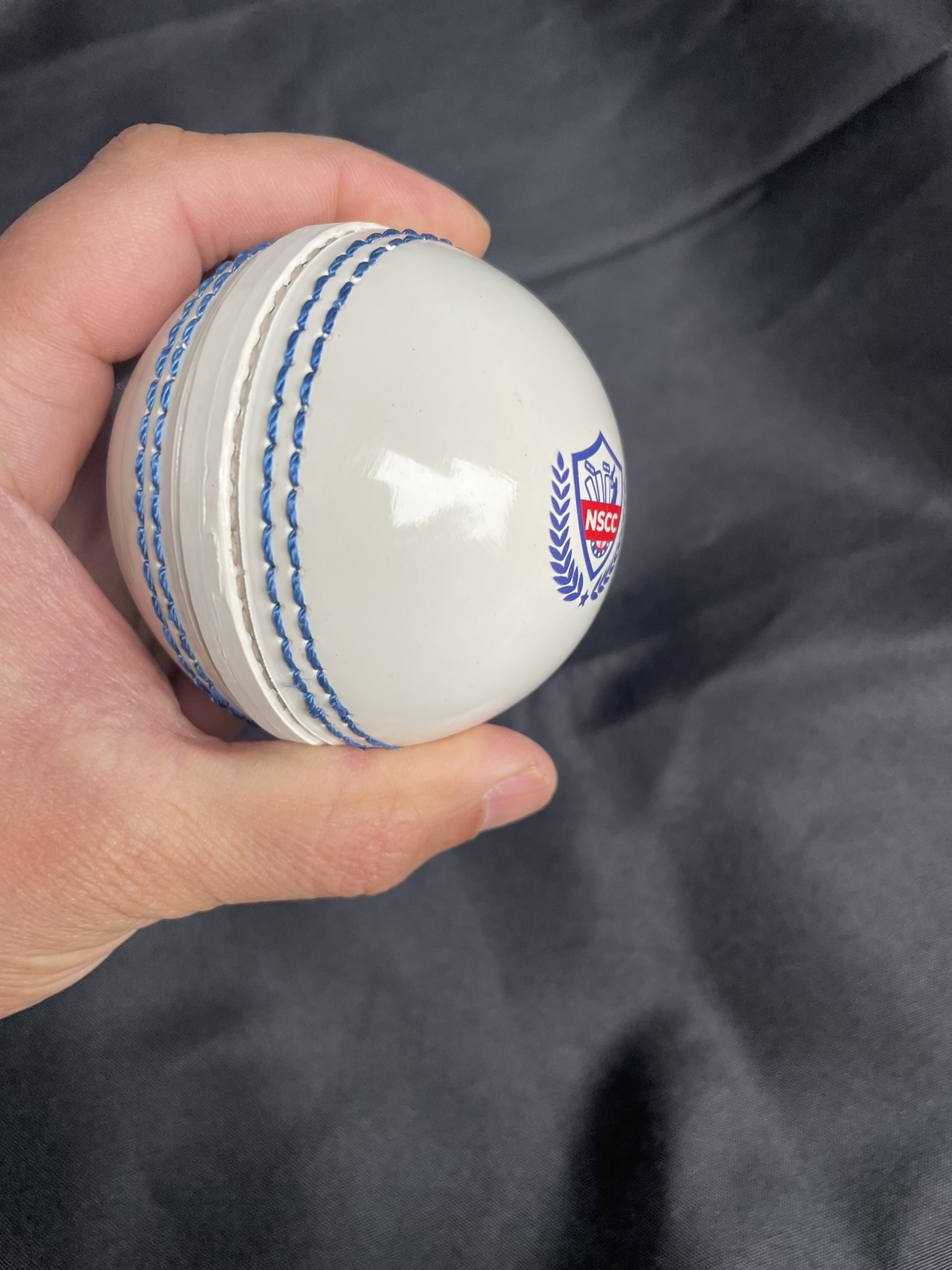 A person holding a white cricket ball with blue stitching and a logo on it.